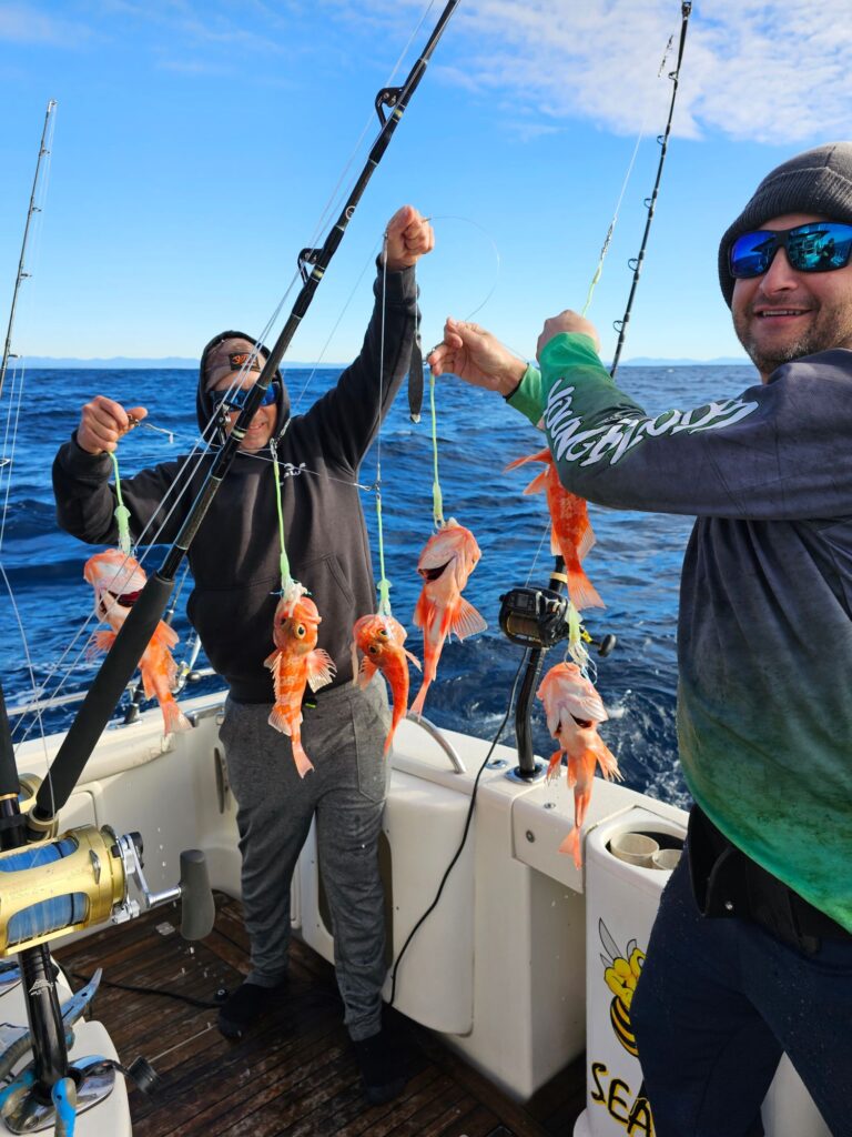 Full Day Deep Drop Fishing Charters