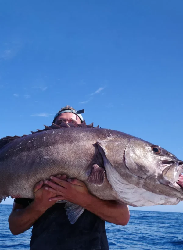 Deep-drop-fishing.webp