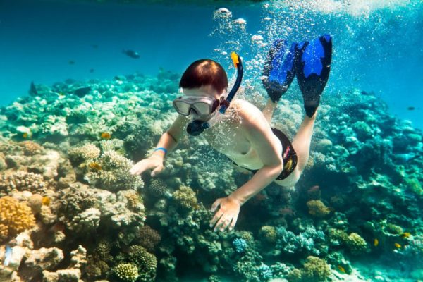 Snorkelling-1.jpg